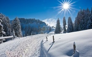 Nature_Seasons_Winter_Winter_road_029477_